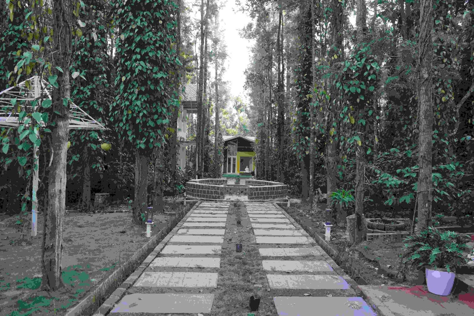 Homestay One Piece Chikmagalur